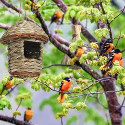 Hanging Hummingbird Bird House Bird's Nest In Straw Garden Nest Woven House Hut Straw Bird Birdhouse House Handwoven H5G8