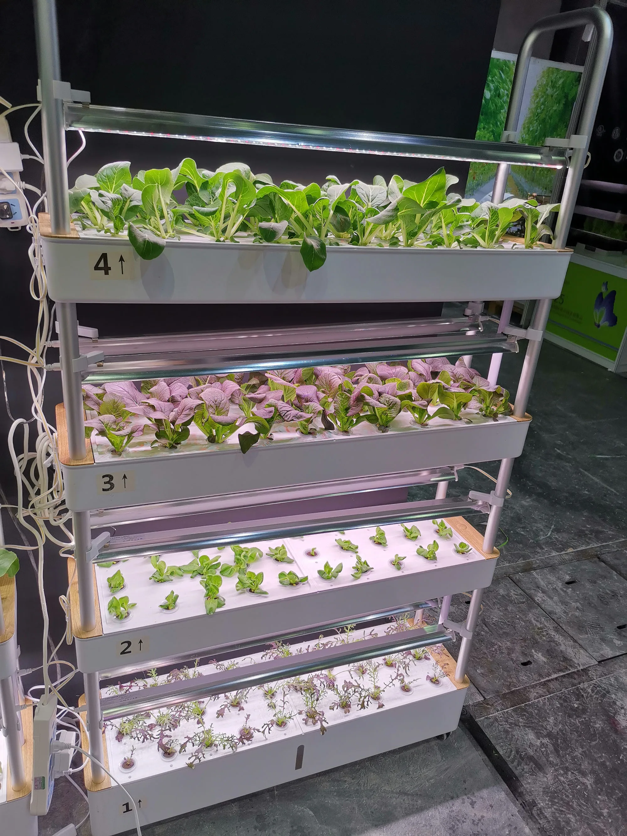 Hydroponic System Indoor Hydroponic Vertical