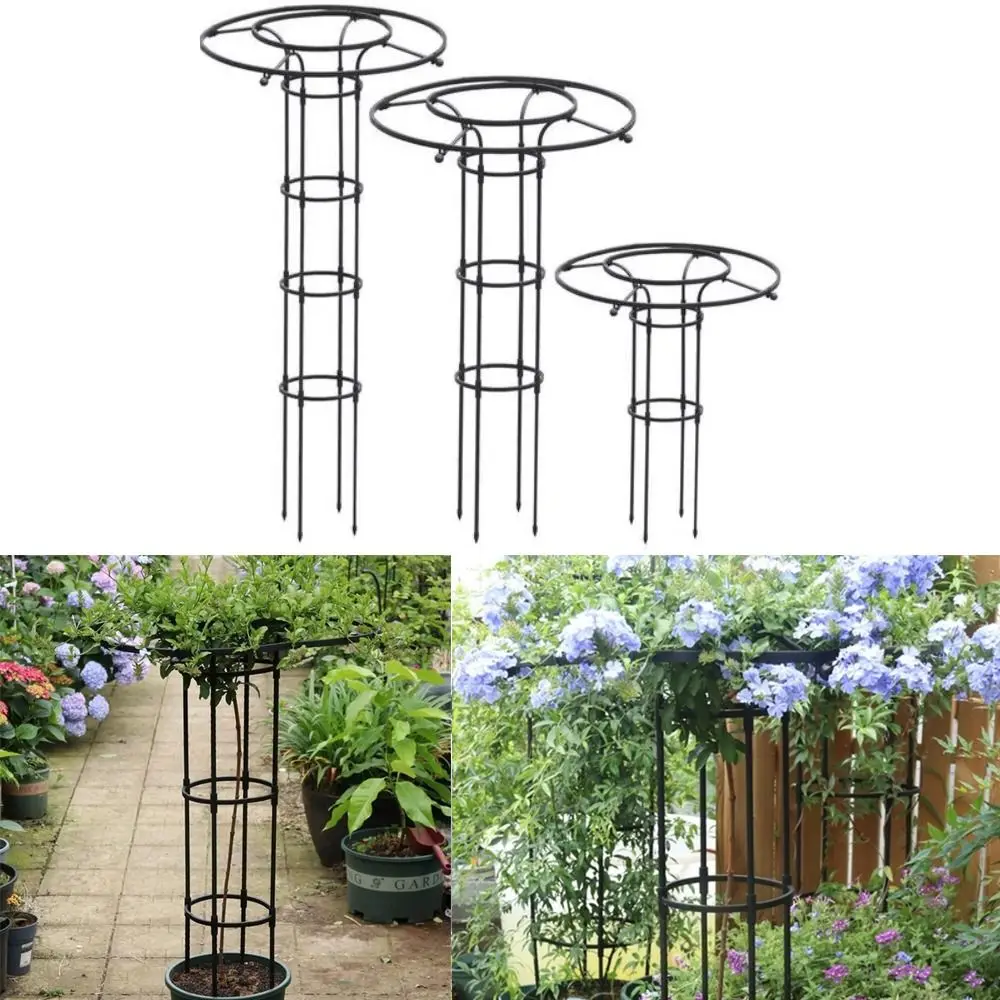 

90/120/150cm Climbing Rose Arch DIY Assemble Sturdy Plant Frame Rustproof Decorative Climbing Plant Support