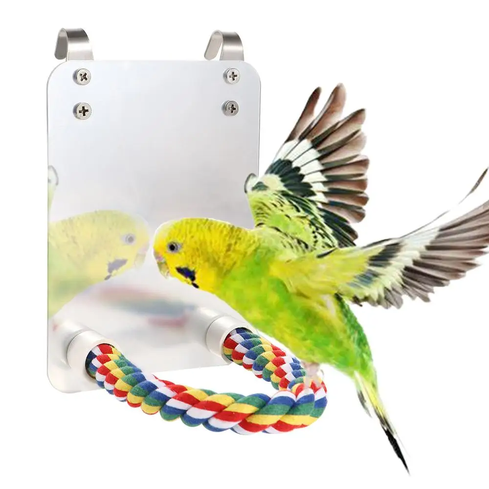 

Lovebirds Finch Parakeet Cage Accessories Acrylic Perch Stand Brid Mirror Swing Parrot Toys