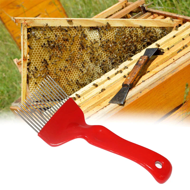 

Beekeeping Tools 18 Pins Bee Honey Forks Straight Needles Uncapping Forks Stainless Steel Honey Sparse Rake Shovel Comb