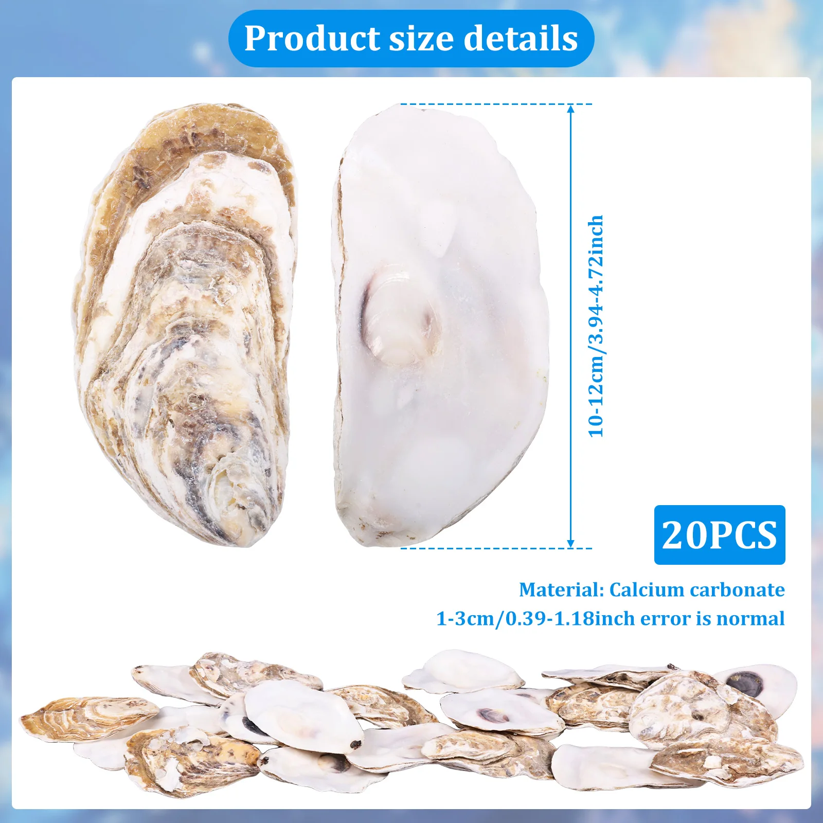 20Pcs Natural Oyster Shell Set 3-4'' Calcium Carbonate Oyster Shell DIY Craft Sea Shell for Home Party Decor Christmas Pendants