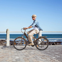 TTGO ZZ-28ST Electric Bike 250W Motor 70Nm Torque 36V 20AH Battery Shimano 9-Speed Urban Commuter E-Bike for Adults