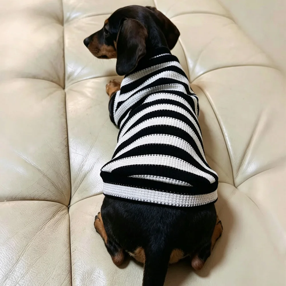 Camiseta a rayas para Dachshund – Chaleco elástico cómoda - imagen 2