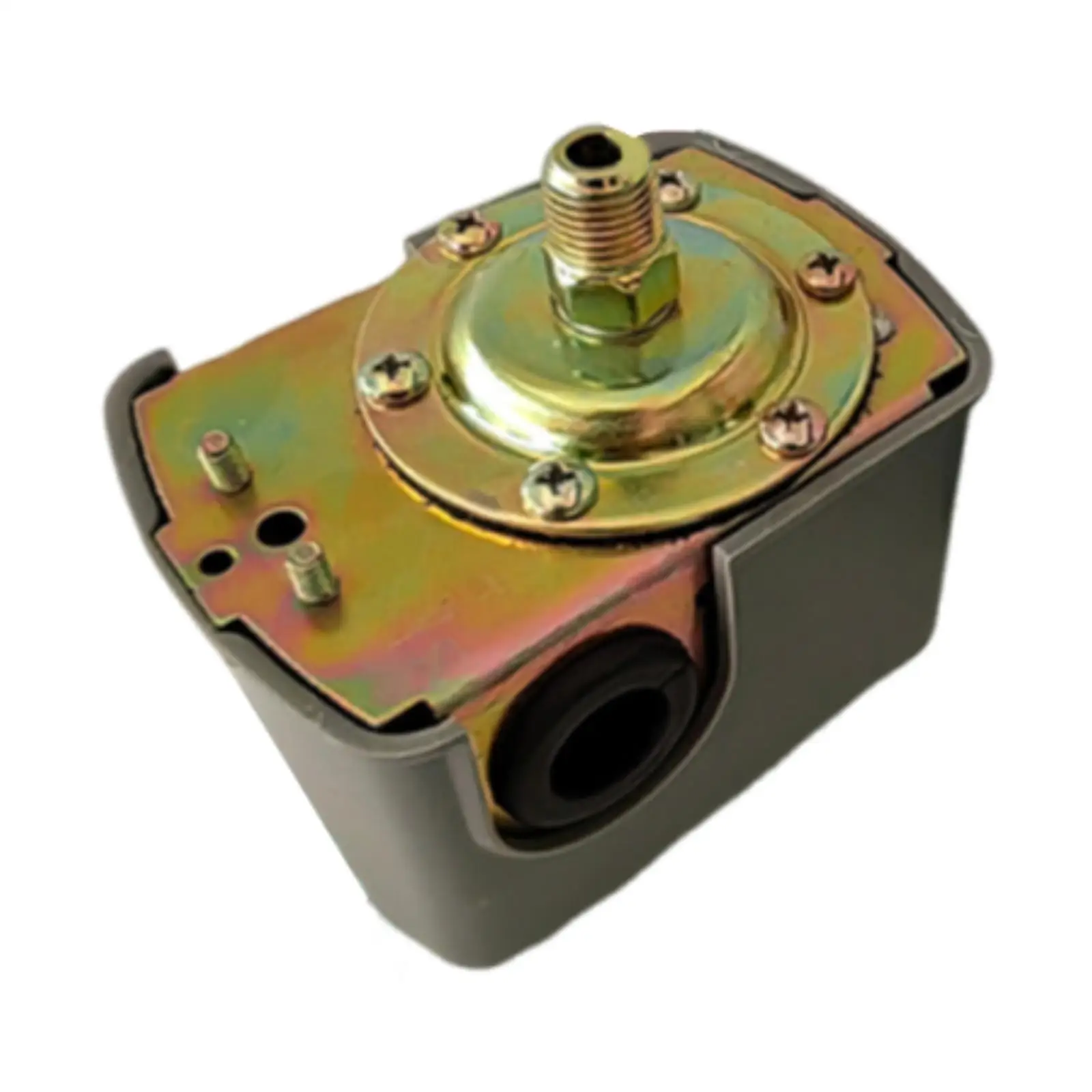 Interruttore della pompa booster Accessori per pompe autoadescanti per scopi agricoli