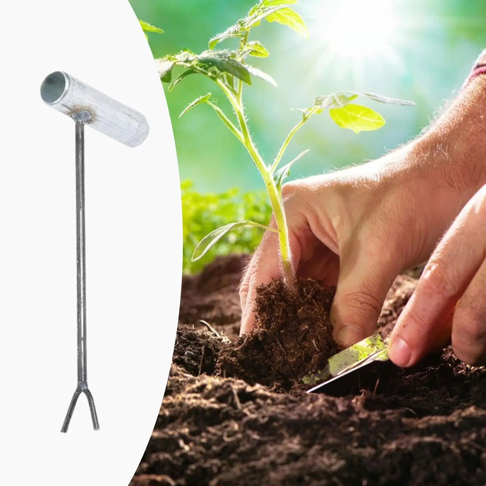 Planting Tool Heavy Duty Metal Seedling Transplanter Practical Planter Kit for Vegetable Patch
