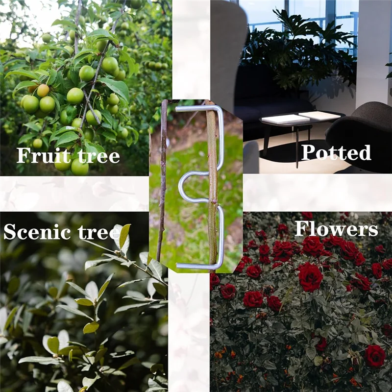 

ABPQ-30 Pcs Fruit Tree Branch Puller Tying Machine Farm Tools Plum Tree Open Angle Pull Branch Stereotyped Branch Bending Durabl