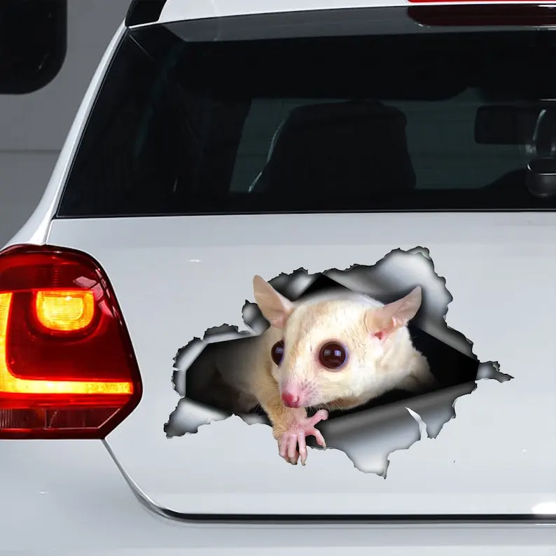 White Sugar Glider car decal, Albino Sugar Glider magnet, white Sugar Glider sticker