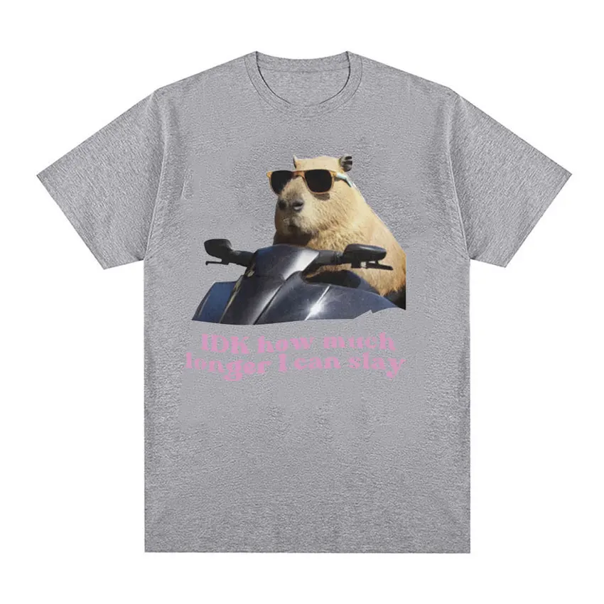 IDK How Much Longer I Can Slay Capybara Funny Meme T Shirts Men Women Retro O-Neck Fashion T-shirt Casual Cotton Oversized Tees