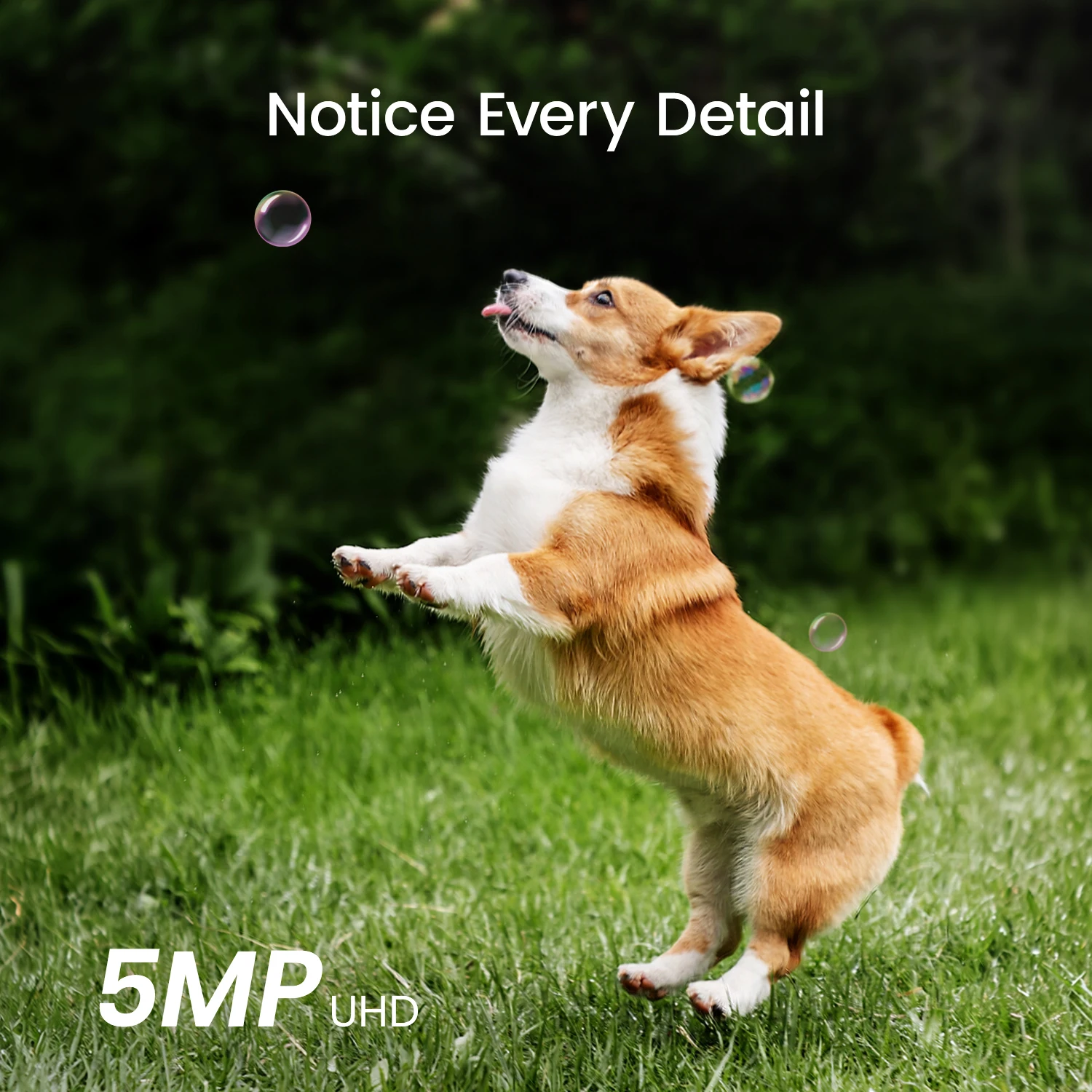 Dekco 5MP Solar Camera System Wireless 4 Cam Kit Outdoor WiFi Security Solar Camera Set Color Night Vision 2-Way Talk CCTV Cam