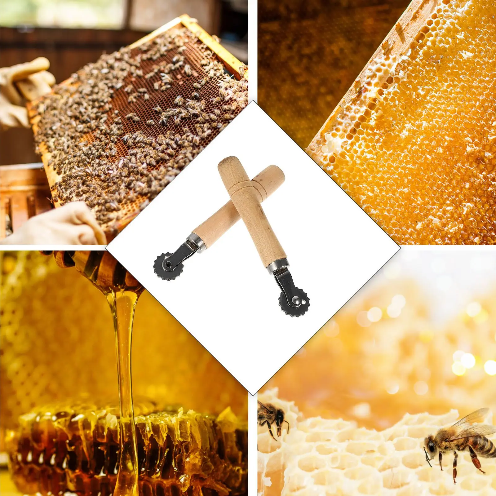 

2Pcs Bee Tool Wire Embedder Beehive Stainless Steel Plastic Equipment Roller Cell Supplies Kit Beginner Pet Supplies
