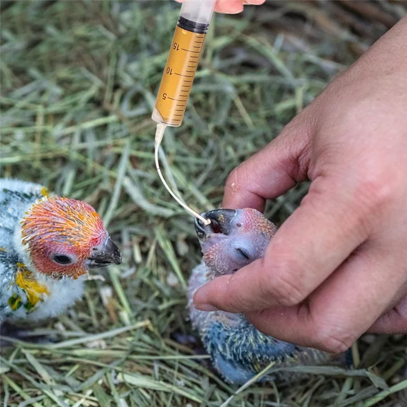 ABNO-Baby Bird Feeding Injector For Milk Medicine With Soft Tubes, Bird Parrot Feeder Tube, Tools Kit