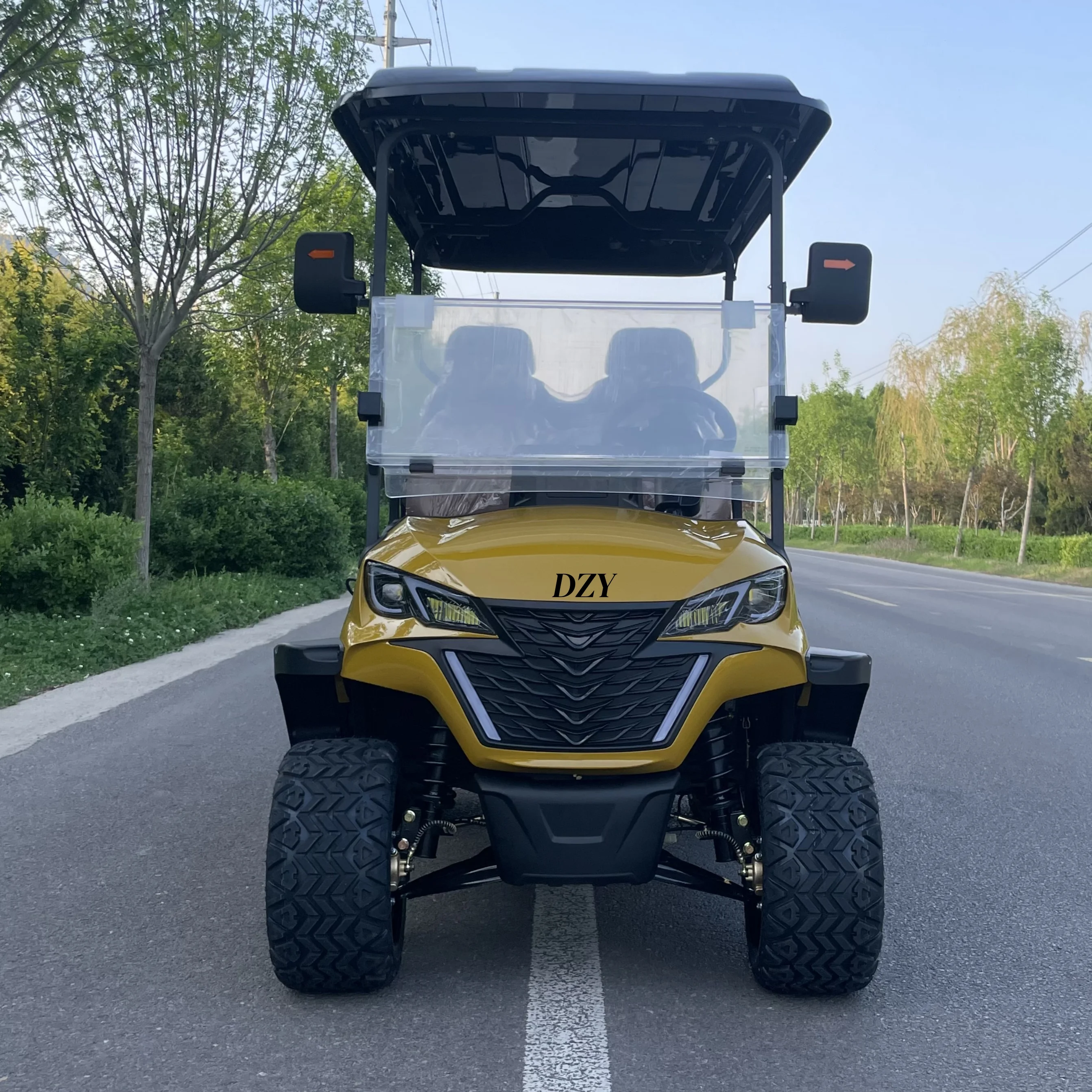 

High quality golf cart Multifunctional Aluminum Frame Independent Suspension Electric Golf Cart with Professional Meter