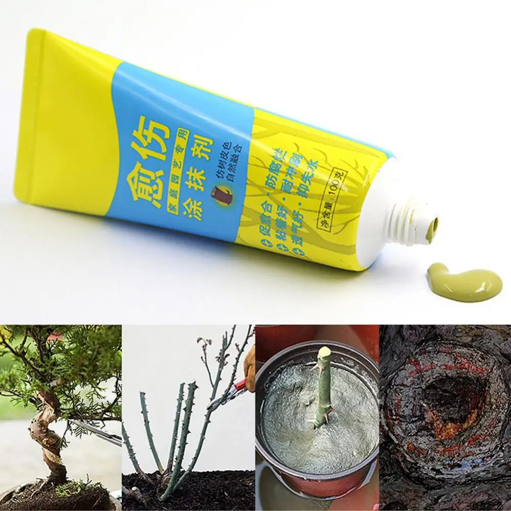 

100g Plant Tree Wound Cut Paste Smear Agent Pruning Compound Sealer with Brush