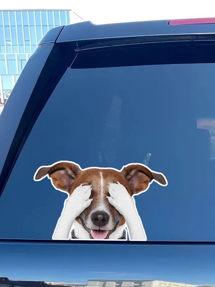 Z1076# Self-adhesive Decal For Jack Russell Terrier Car Sticker Waterproof Auto Decors on Bumper Rear Window Laptop