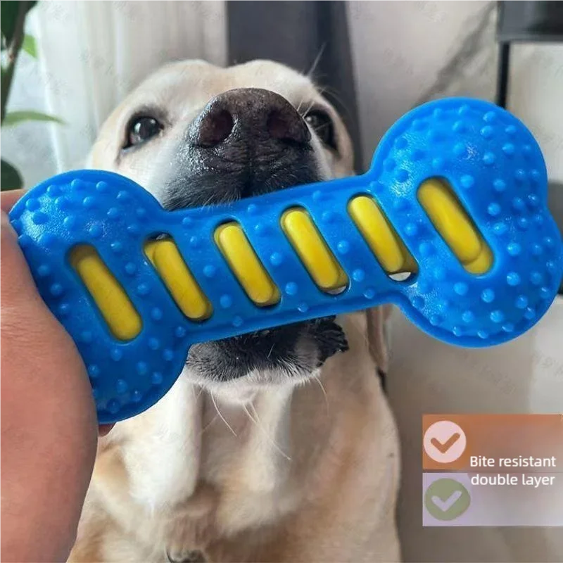 #78 Interactive Pet Toys List of Top Picks
