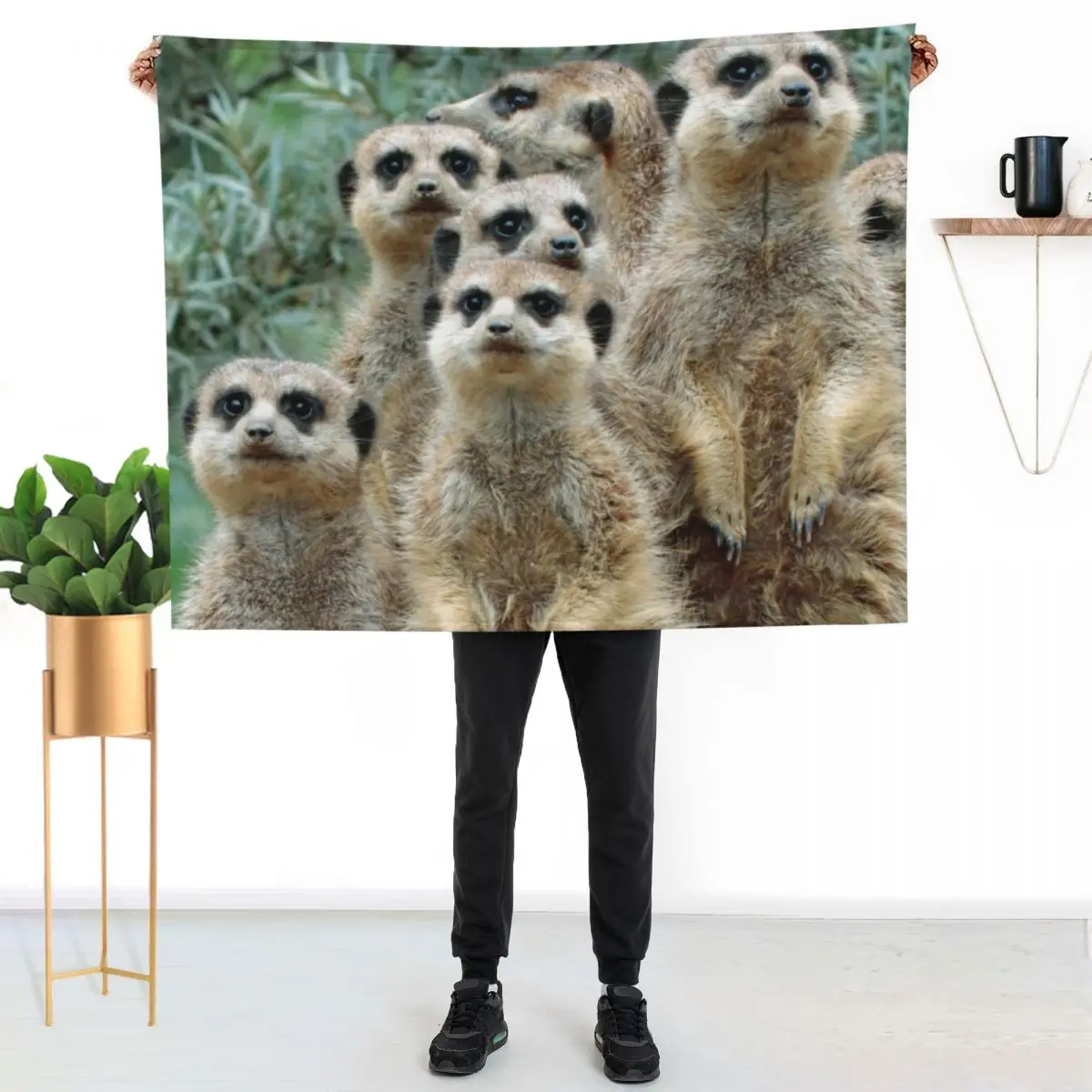 Meerkat 012 Throw Blanket Heavy Picnic bed plaid Sofa Throw Furrys Bed Blankets