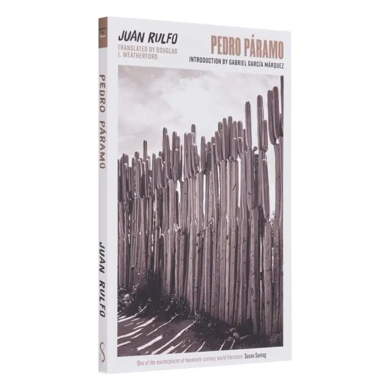 

Pedro Paramo Juan Rulfo Profile Books 9781800812871 Book