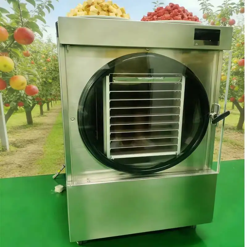 Fast Freezing Dryer With -50°C Temperature For Quick Drying Of Fruits Vegetables And Meat
