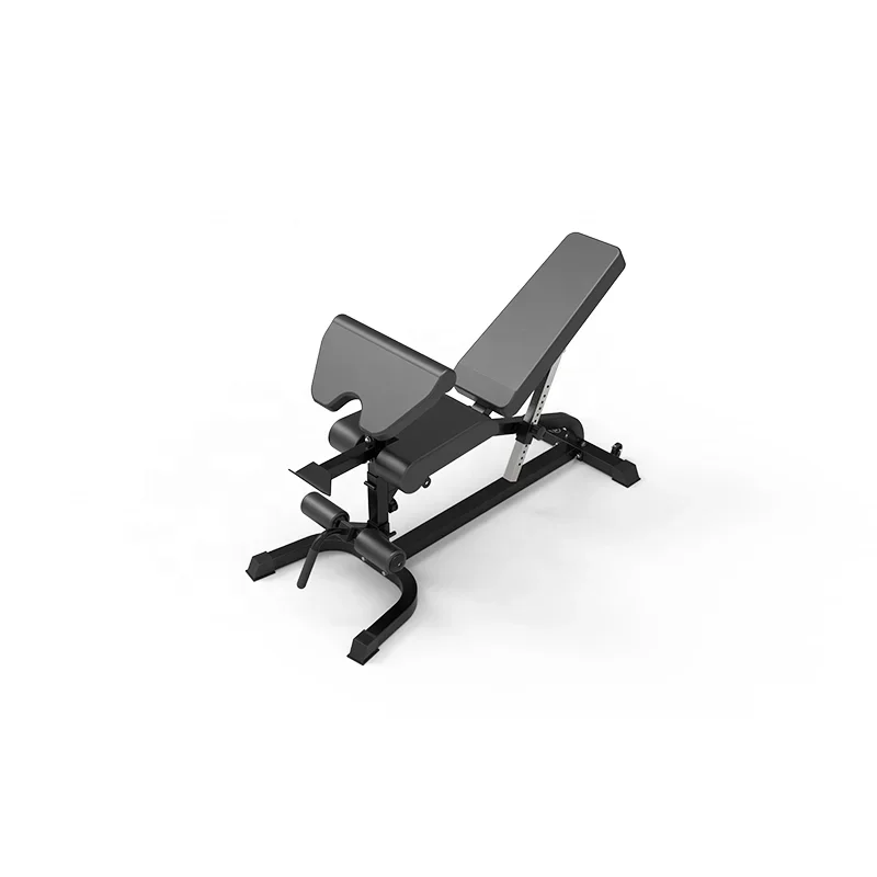 Customized Adjustable Bench Multifunctional Professional Fitness Chair DY-3006 Metal Unisex Modern Indoor Fengxing CN;SHN