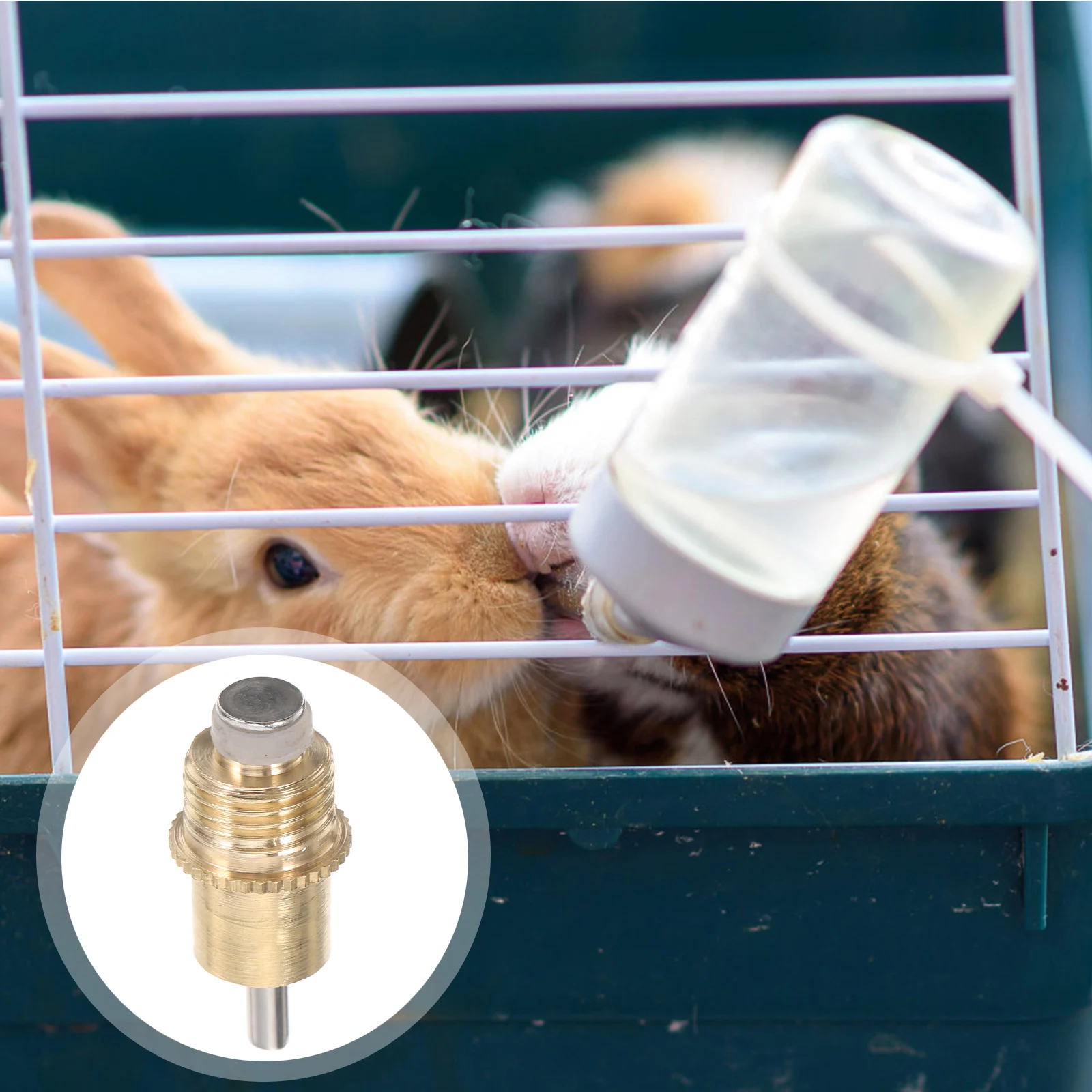 

10Pcs Copper Head Rabbit Water Spout Automatic Water Dispenser Nozzle for Reliable Outdoor Indoor Hydration System