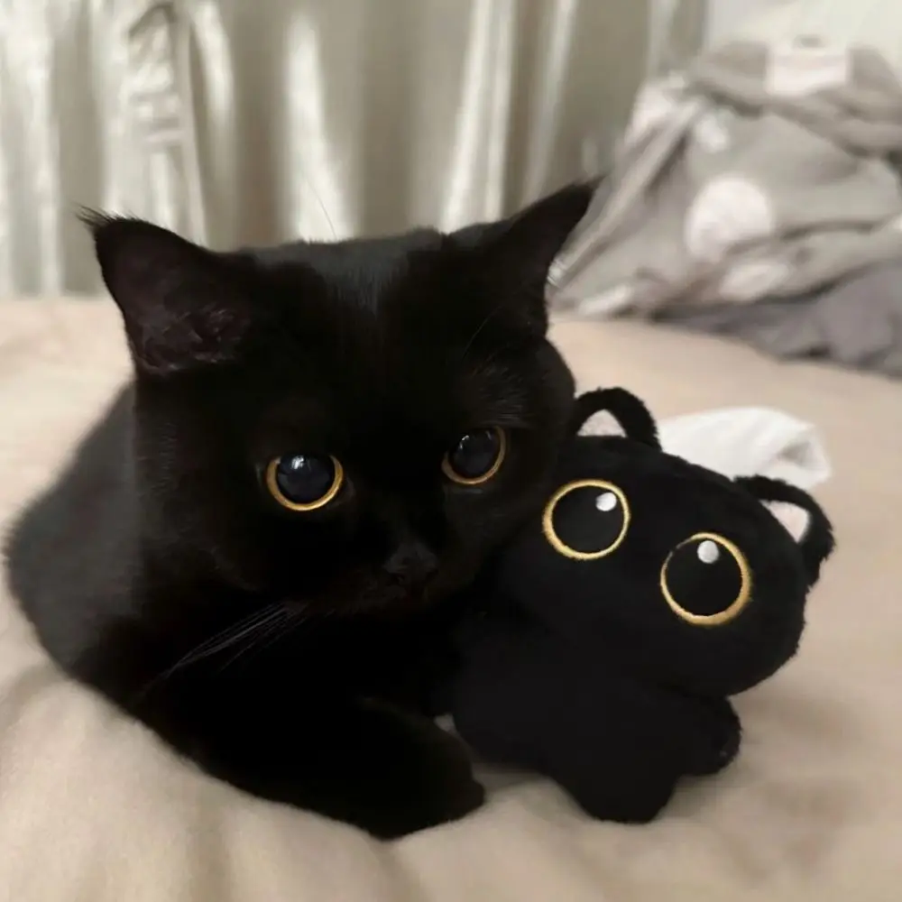 Kawali Plush Cat Doll Keyring Black Cartoon Cat Keychain Gift Desktop Decorations Dolls Pendant