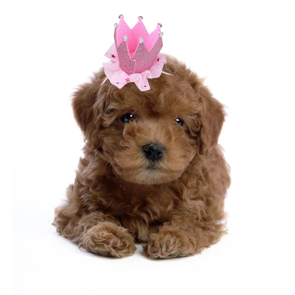 

2Pcs Pet Tutu Skirt Dog Clothes Crown Cap Puppy Dress Fashion Gauze Sweet Comfortable for Small Breed Photo Walking Jogging