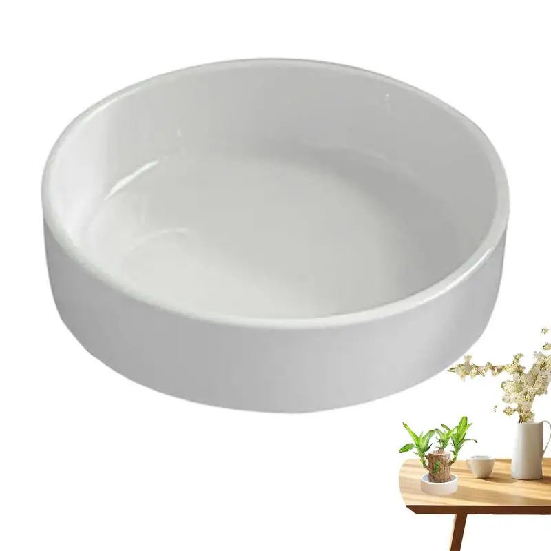 Brazilian Wood Plates Lucky Wood Hydroponic Tree Stump Desktop Plants Hydroponic Plant Tray Offices Plant  tray white ceramic