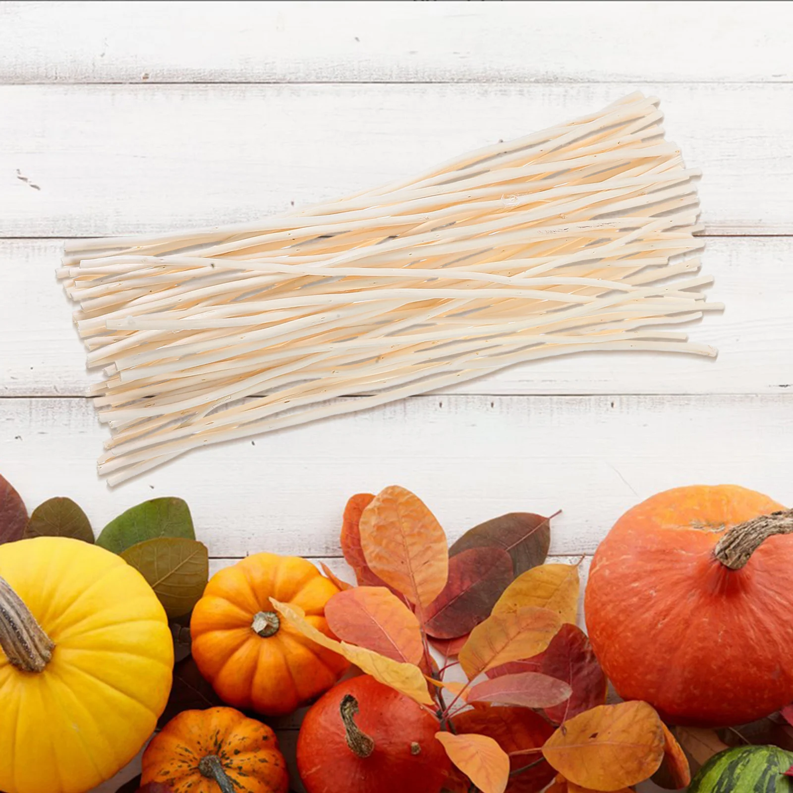 50 قطعة فروع الصفصاف المجففة هيرين زن الغلاف الجوي تنوعا الزخرفية استخدام منخفضة صيانة الجمال زهرية حشو Crafts بها بنفسك الحرف