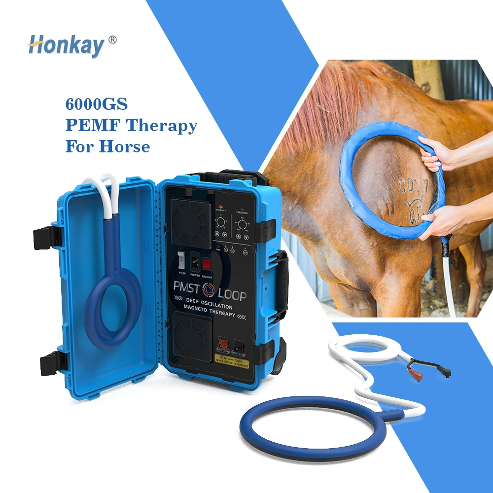 

PMST Loop For Equine Back Pain Physio Magneto Therapy for Veterinary Horse Thigh Disease Rehabilitation Physiotherapy Machine