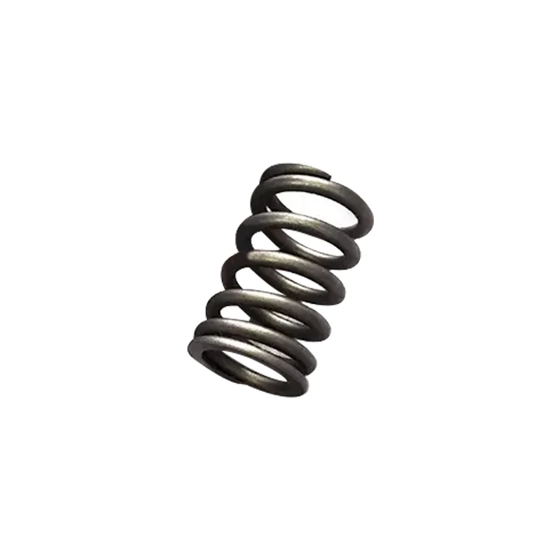 

Valve Spring For Mitsubishi 4M40 engine spare parts