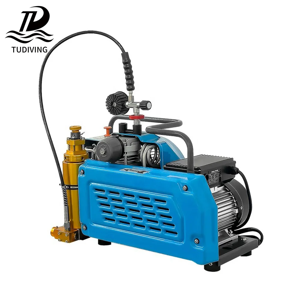Best Price Auto Stop High Pressure 100LPM 3Cylinder 4500psi 2.2kw 30mpa Scuba Diving Air Compressor For Gas Bottle