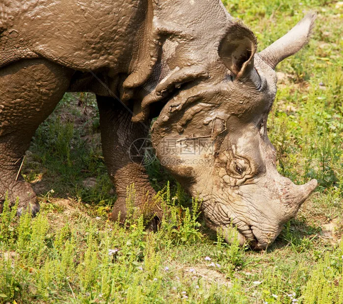 

Комплект из 2-х передних и задних мостов для радиоуправляемых машинок HB Toys ZP1001, ZP1002, ZP1003, ZP1004, ZP 1001, 1/10, запчасти и аксессуары