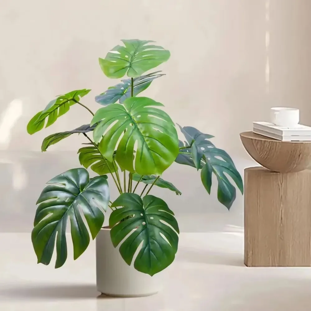 philodendron squamicaule Philodendron Squamicaule Pink – Plantamani Plants main image 1