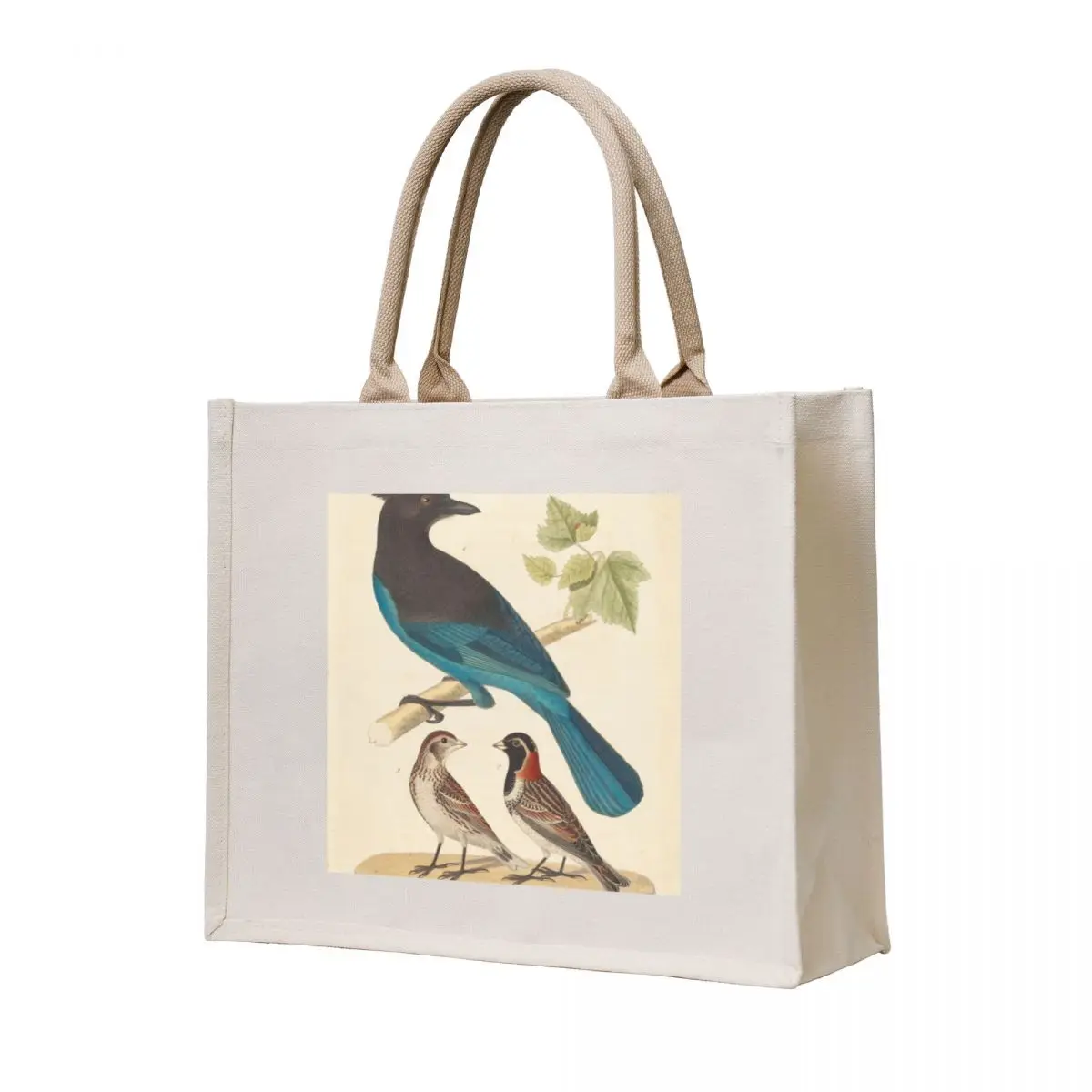 

Stellar's Jay Vintage Bird Illustration Tote Bag sac pour femme tote bag men Women's handbag