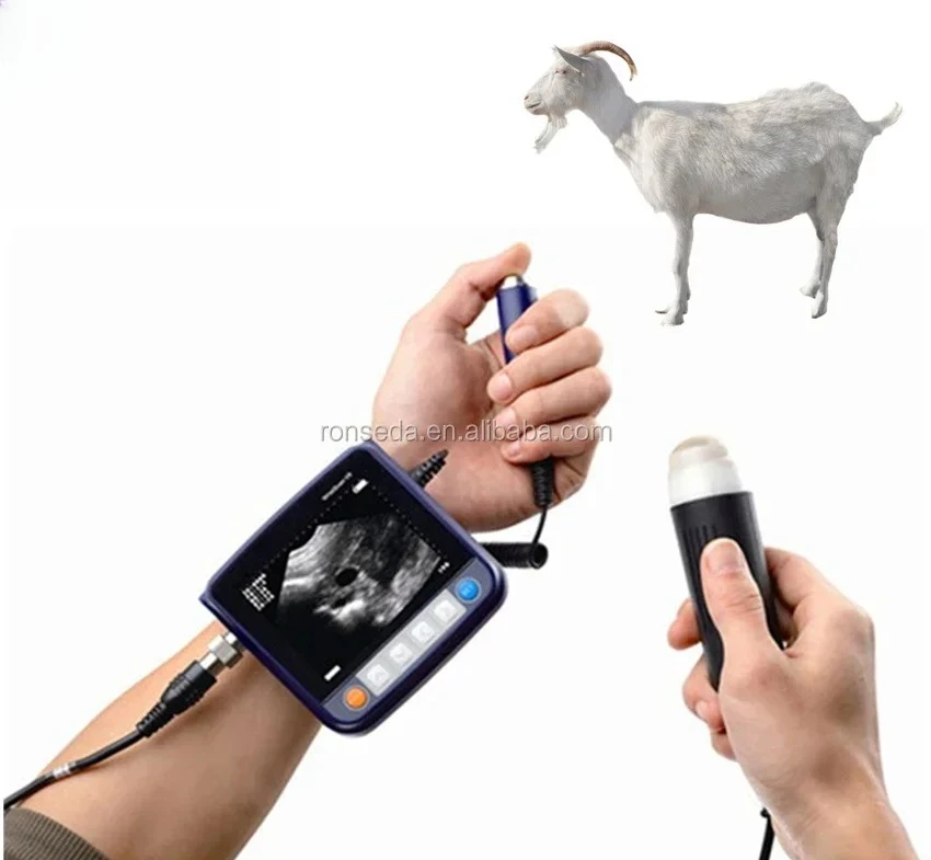 2025 Machine Veteri… - image