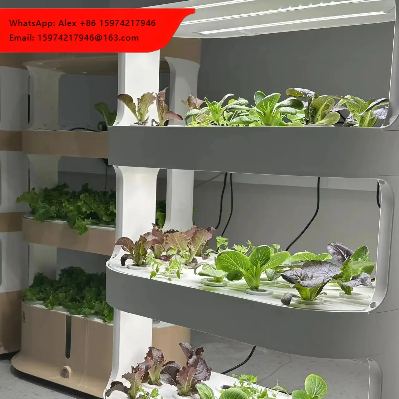 Soilless Culture Hydroponic System For Greenhouse Cultivation