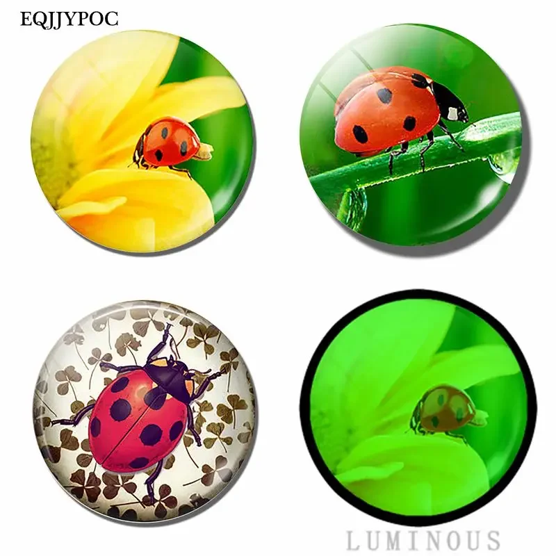 

Glass Luminous Home Decor Fridge Magnet Decoration Kitchen Souvenirs Gift Ladybug and Flowers Fridge Stickers Cute