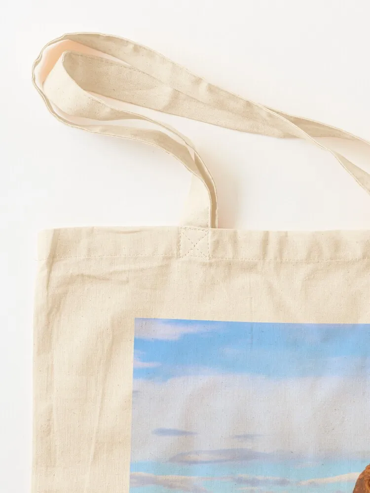 حقيبة حمل Valley of Fire II حقيبة كبيرة للنساء حقيبة مخصصة حقائب نسائية قابلة لإعادة الاستخدام #3