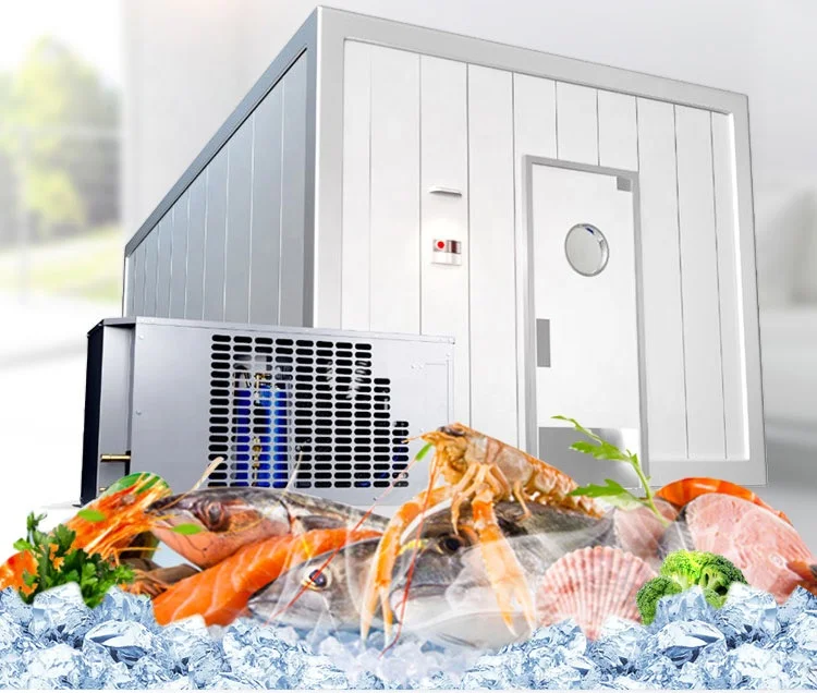Seasonal Fish & Meat Market Operations Solar Powered Large Mobile Cold Room