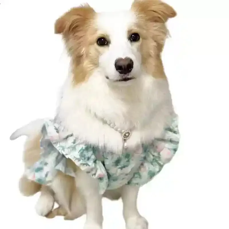 애완동물 의류 봄과 여름 귀여운 중형 및 대형견 의류 - Summer Dog Clothing 리뷰 및 가격