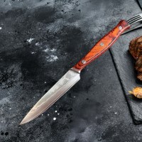 67-Layer Damascus Steel VG10 Steak Knife - Premium Wood Handle Chef Cutlery with Protective Sheath, Luxury Kitchen Gift Set