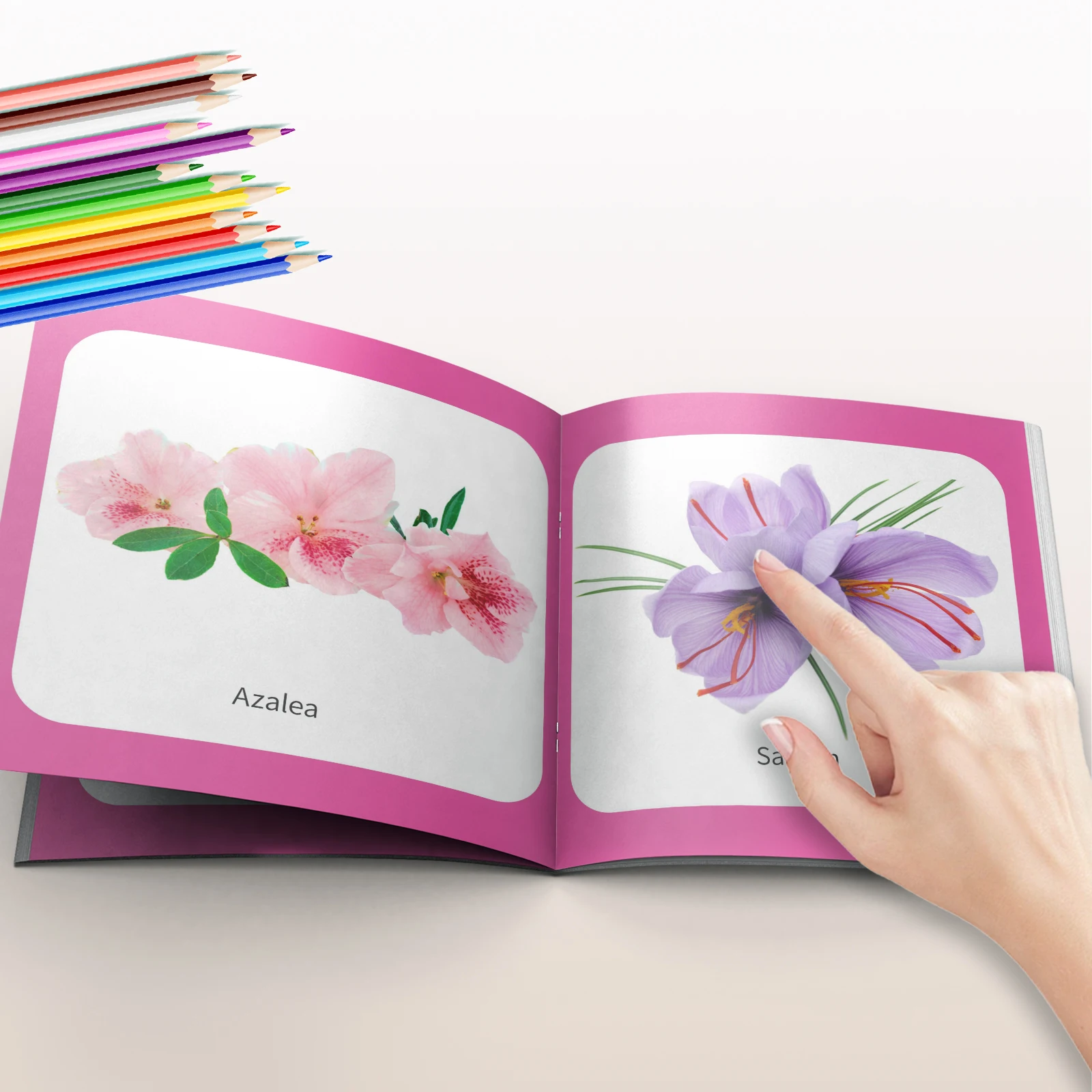 Flower Theme Card Book - Vivid Knowledge Card Book for Early Learning, Visually Stimulating Educational Cards