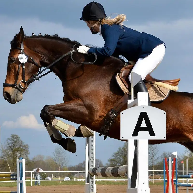 Training Dressage Markers Sturdy Letter Marks 8 Pieces Complete Set Dressage Markers Equipped With Dressage Letters Dressage