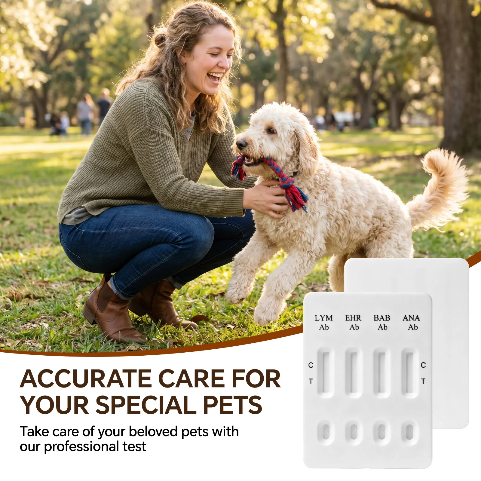 Canine Ehrlichiosis Antibody/Anaplasma Antibody/Lyme Antibody/Babeisa Antibody/ (EHR /ANA /LYM /BAB Ab) Combo Rapid Test Kit
