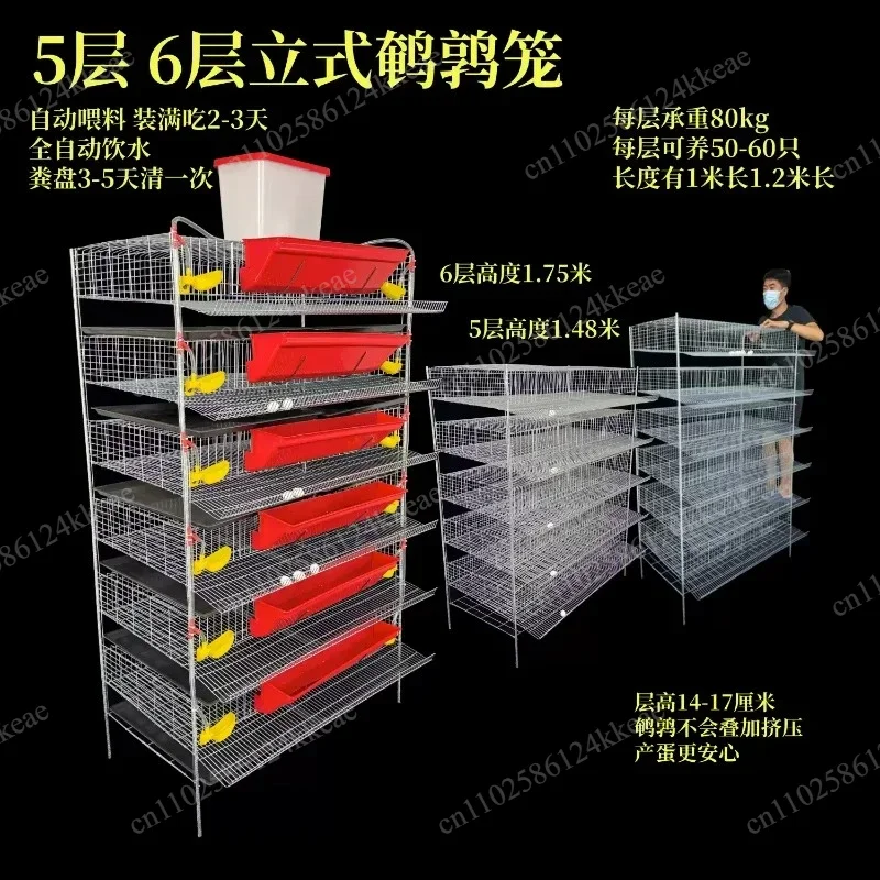 Can Automatically Clear Manure Feeding Drinking Water Quail Egg Production Cage Vertical Quail Cage