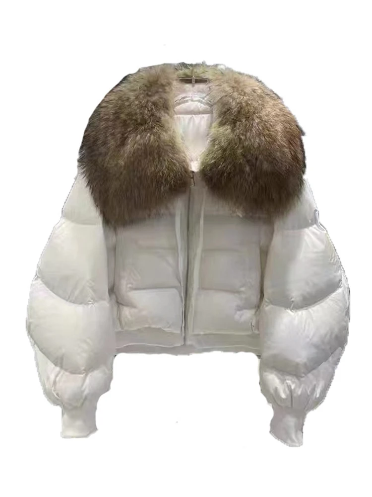 LANMREM-Manteau court en coton avec grand col en fourrure pour femme, veste chaude en duvet de canard blanc, optique coréenne, 2Z3024, mode d'hiver, nouveau, 2024