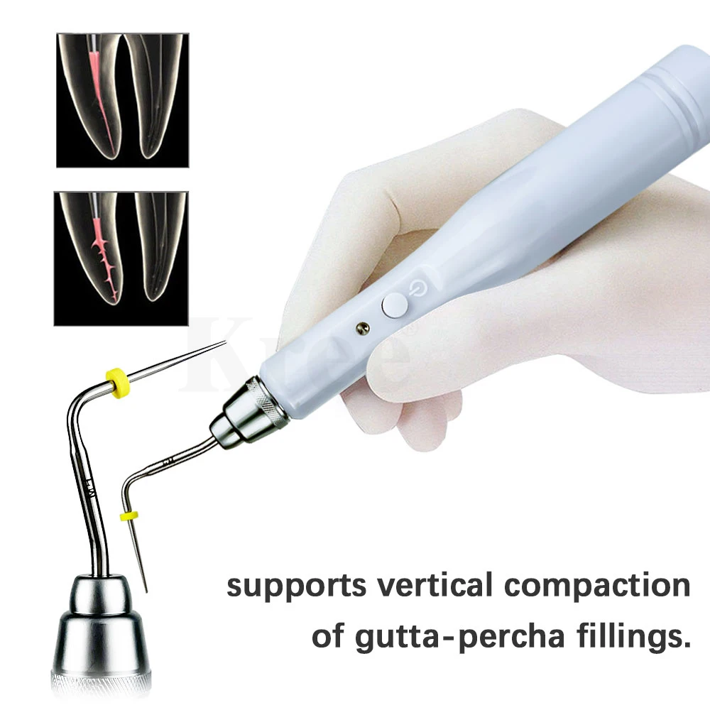 Dental Gutta Percha Obturation System Endo Heated Pen Cordless Rechargeable Root Canal Hot Melt Filling Pen with 2 Tips tools