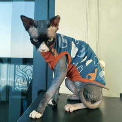 Cat Clothing Spring Summer Cotton shirt for Sphynx Fashion Blue Short Sleeves Coat for Cats Dogs Cartoon Jumpsuit For Devon Rex