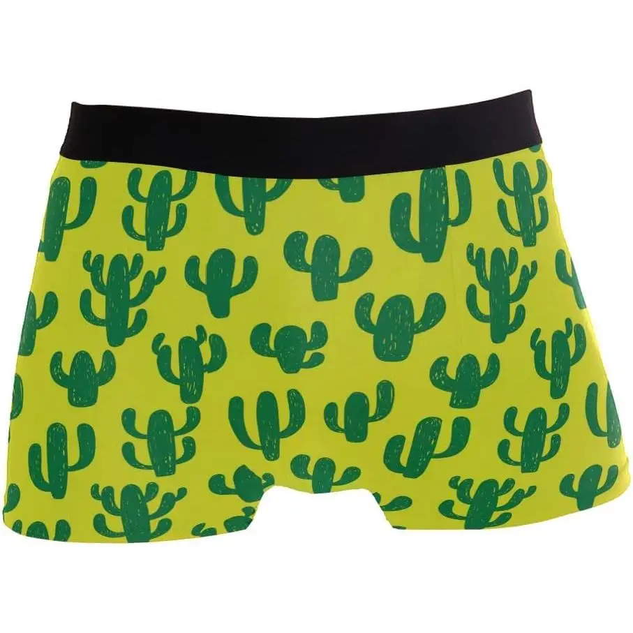 

Cactus Mens Boxer Briefs Underwear Breathable Stretch Boxer Trunk with Pouch S-XXL Underwear with Moisture-Wicking Fabric